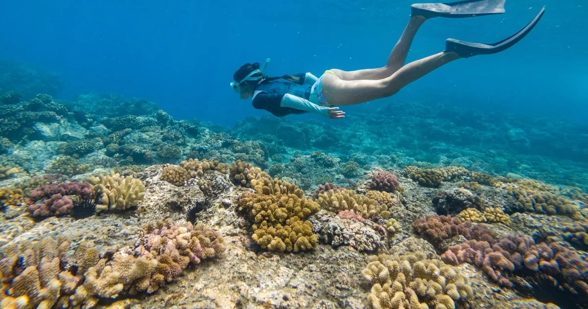 From Fajardo: All-Inclusive Boat and Snorkeling in Culebra Island